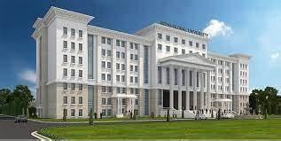 The Global University